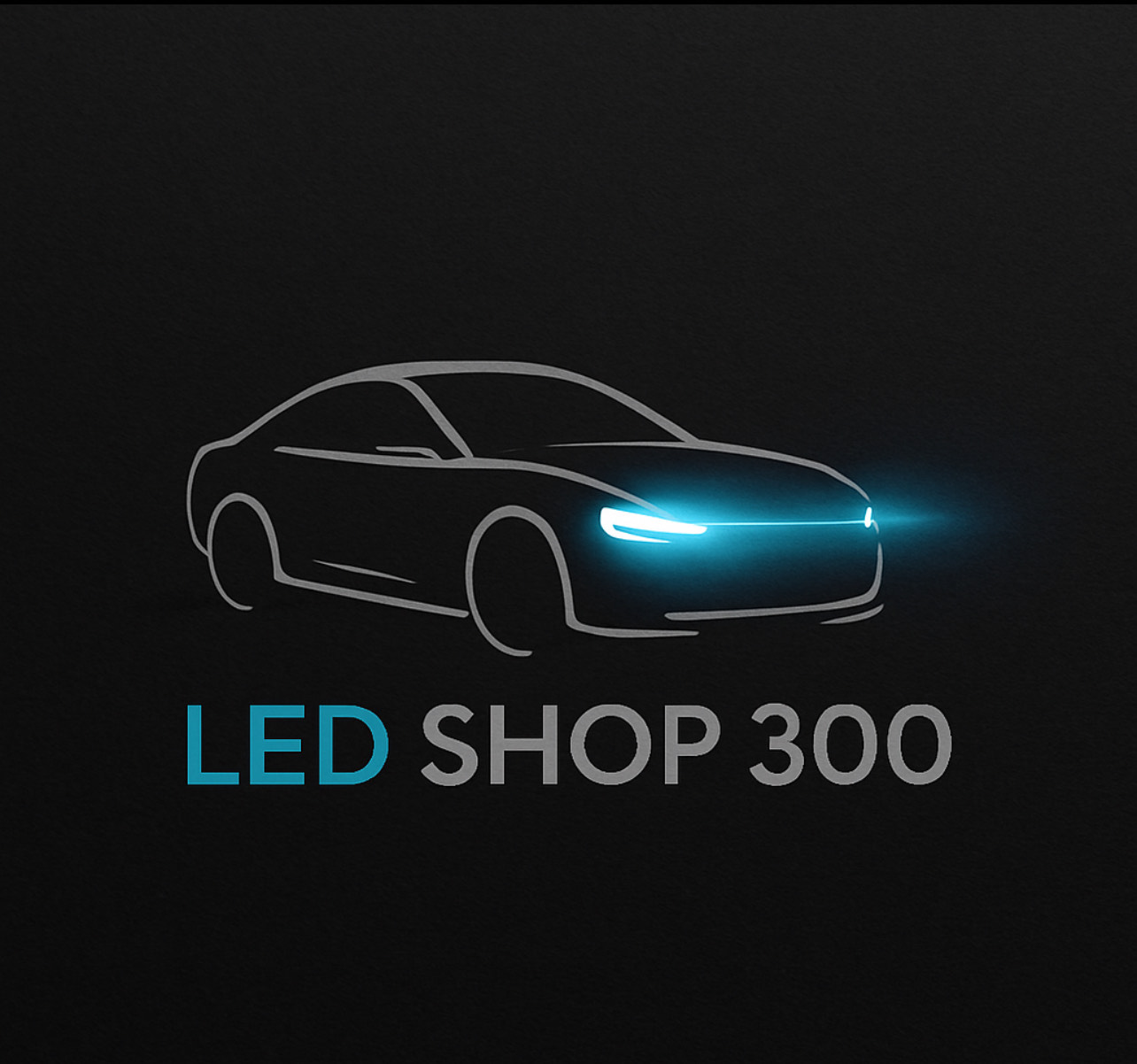 LED SHOP 300 Logo